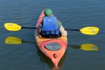 Kayak and water board rentals